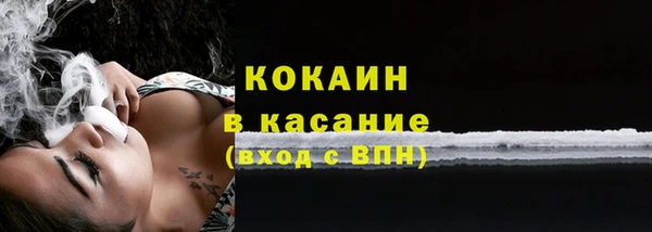 стаф Горняк