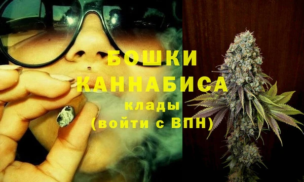 стаф Горняк