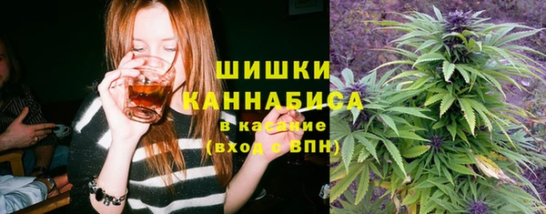 стаф Горняк