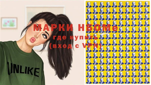 стаф Горняк