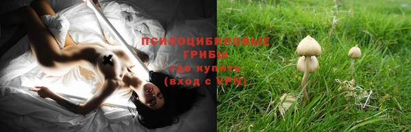 стаф Горняк