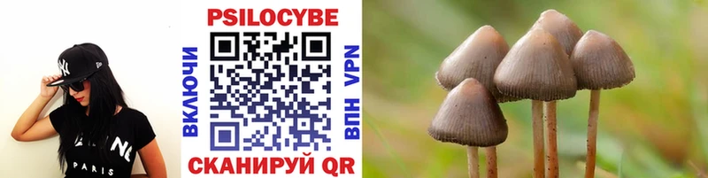 OMG вход  Чусовой  Псилоцибиновые грибы Magic Shrooms  купить наркотики цена 